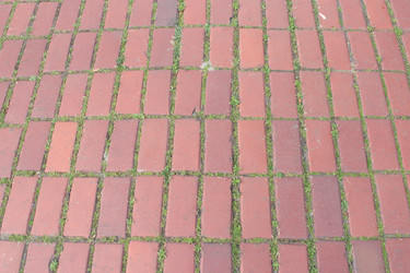 Similar image 2910203