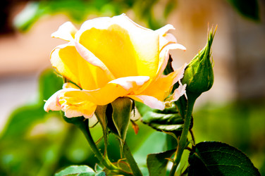 Similar image 2910206