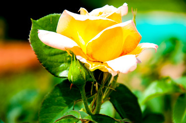 Similar image 2910207