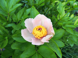 Similar image 2910218