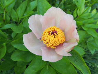 Similar image 2910219