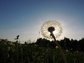 Similar image 2910221