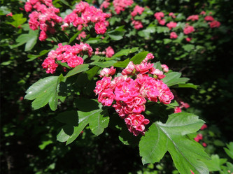 Similar image 2910223