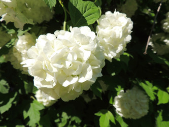 Similar image 2910224