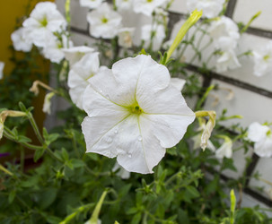 Similar image 2910269