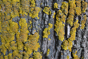 Similar image 2910270