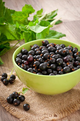 Similar image 2910273