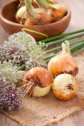 Similar image 2910278