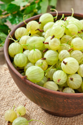 Similar image 2910280