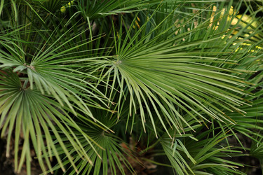 Similar image 2910307