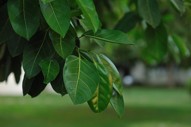 Similar image 2910308