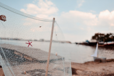 Similar image 2910311