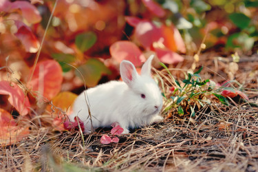 Similar image 2910347