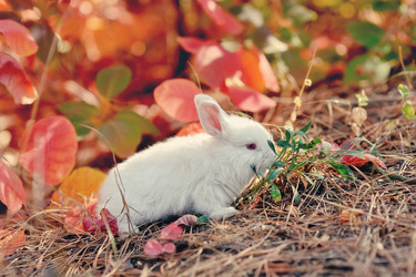 Similar image 2910348