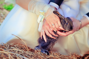 Similar image 2910349