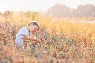 Similar image 2910351