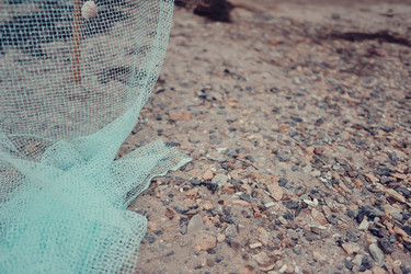 Similar image 2910352