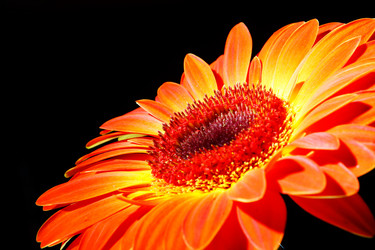 Similar image 2910396