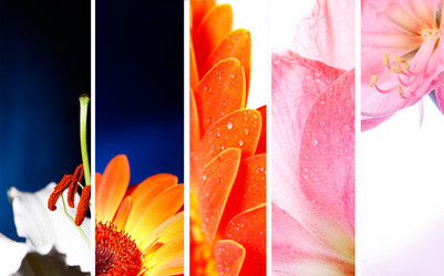 Similar image 2910398