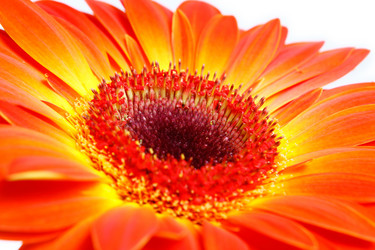 Similar image 2910400