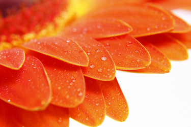 Similar image 2910401