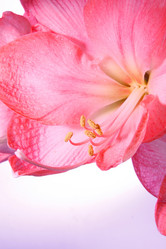 Similar image 2910402