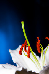 Similar image 2910406