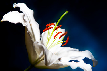 Similar image 2910407