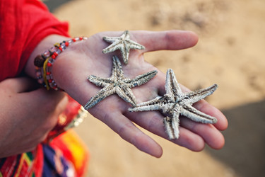 Similar image 2910427