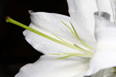 Similar image 2910433