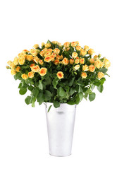 Similar image 2910473