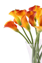 Similar image 2910475