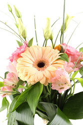 Similar image 2910494