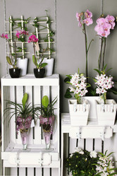 Similar image 2910495