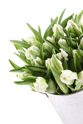 Similar image 2910498