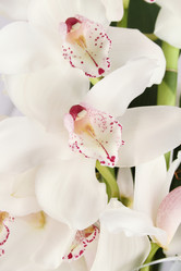 Similar image 2910499