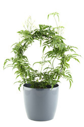 Similar image 2910503