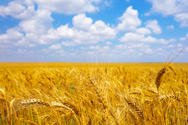 Similar image 2910553