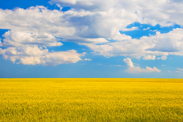 Similar image 2910568