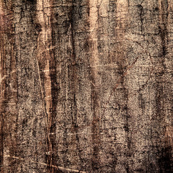 Similar image 2910573