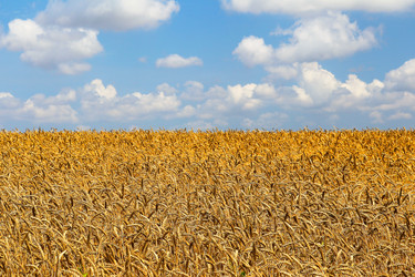 Similar image 2910579