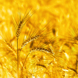 Similar image 2910581