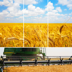 Similar image 2910586