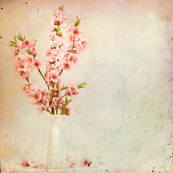 Similar image 2910618