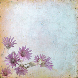 Similar image 2910619