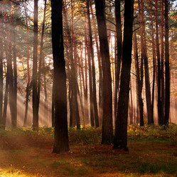 Similar image 2910627