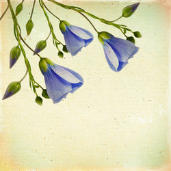 Similar image 2910634