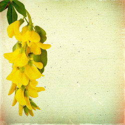 Similar image 2910636