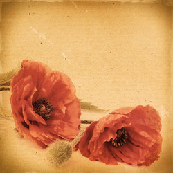 Similar image 2910642