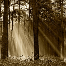 Similar image 2910644